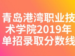 青島港灣職業(yè)技術學院2019年單招錄取分數(shù)線-山東單招網(wǎng)
