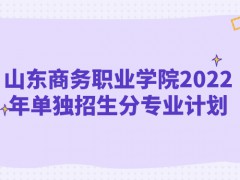 山東商務職業(yè)學院2022年單獨招生分專業(yè)計劃